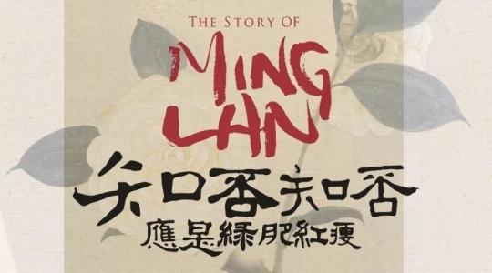 深圳翻译公司
