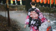 从文学翻译到翻译文学