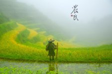 翻译“农民”这个词的时候要注意了