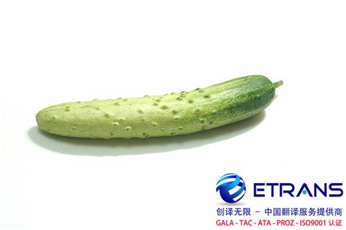 怎么辨别论文翻译公司是否专业？