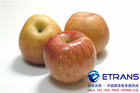 敲黑板，证件翻译这些问题不能忽视！