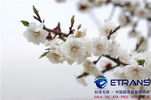 深圳翻译公司究竟应该如何选择？