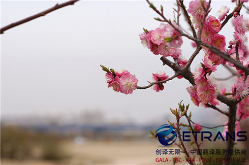 专业翻译公司和传统翻译公司有什么不同？