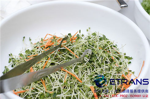 掌握证件翻译技巧，让翻译工作事半功倍！