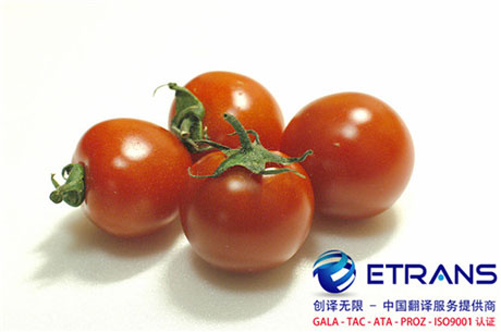 怎么才可以做好证件翻译工作？