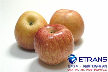 确保证件翻译不出错的技巧有哪些？