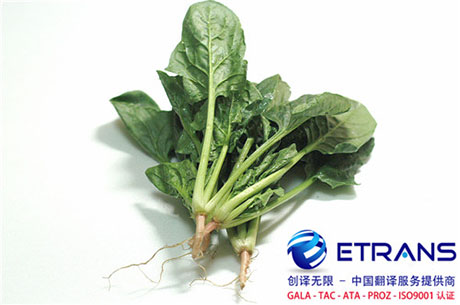 看过来，合同翻译要小心的三大误区！