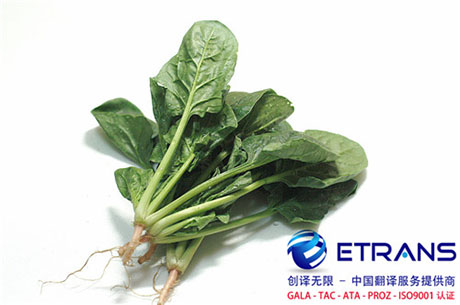 从哪几个方面来确定深圳翻译公司的专业性？