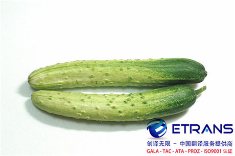 怎么进行证件翻译更准确？这几点要到！